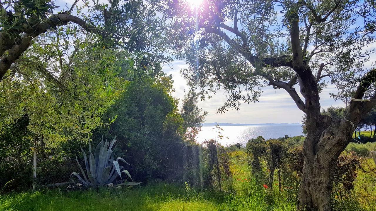 Amazing Sea View Loft, Afytos Appartement Buitenkant foto